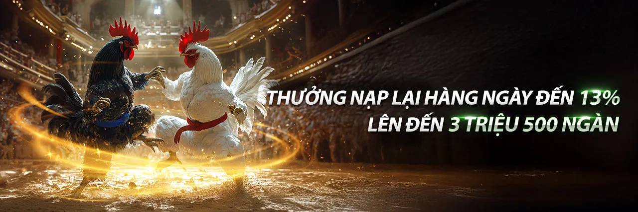 Sân đấu đá gà trực tuyến sôi động tại f169 login với các chiến kê dũng mãnh và khán giả cuồng nhiệt, thể hiện sự chuyên nghiệp và an toàn của nền tảng cá cược online.